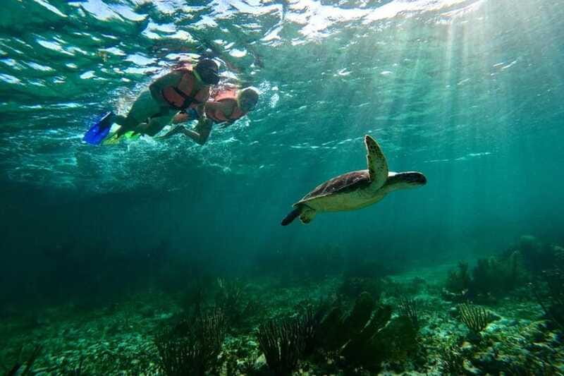 Puerto Morelos: Snorkeling Guided Activity - Stop 2: a second spot that changes what you notice