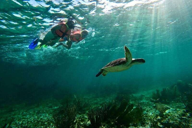 Puerto Morelos: Snorkeling Guided Activity - The 2-hour tour flow, small group size, and what timing really means