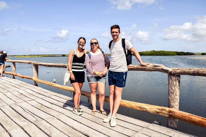 Punta Sur Eco Beach Park Electric Bike Tour in Cozumel - Riding comfort, bike setup, and the van transfer reality check