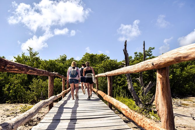 Punta Sur Eco Beach Park Electric Bike Tour in Cozumel - From Beach Bum Cozumel to the reserve: what your morning looks like