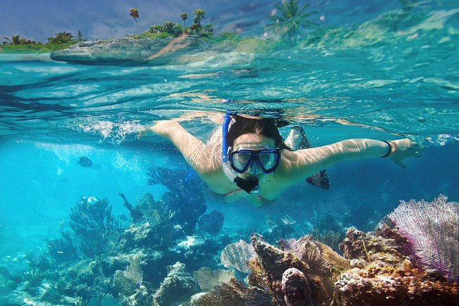 Reef Snorkel In National Park In Puerto Morelos With Lunch And Transportation - Lunch, tacos, and the tequila tasting reality check