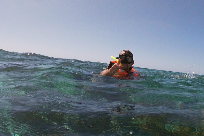 Reef Snorkel In National Park In Puerto Morelos With Lunch And Transportation - Cancun-area pickup and timing: why your day may run longer than expected