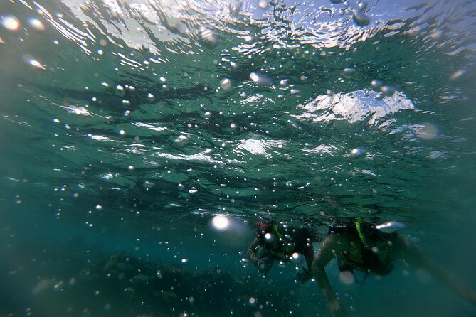 Reef Snorkel In National Park In Puerto Morelos With Lunch And Transportation - Who this snorkeling tour fits best, and who should think twice