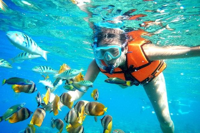 Reef Snorkeling in National Park from Cancun with Beachside Lunch - Reef rules that affect your comfort (and why they exist)