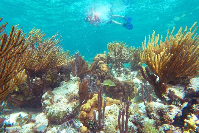 Reef Snorkeling in National Park from Cancun with Beachside Lunch - Puerto Morelos free time: what you can do in the 2-hour window