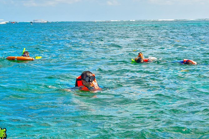 Reef Snorkeling in National Park from Cancun with Beachside Lunch - Who this tour fits best, and who should choose a different day