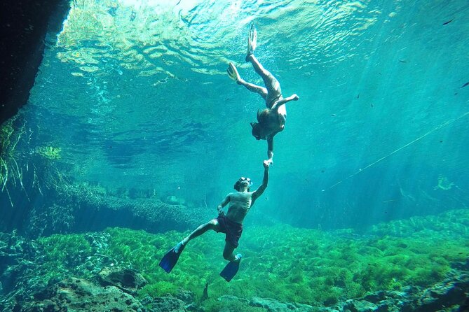 Ride to a life changing cenotes tour - Cenote stop one: a cave experience with jungle-facing views