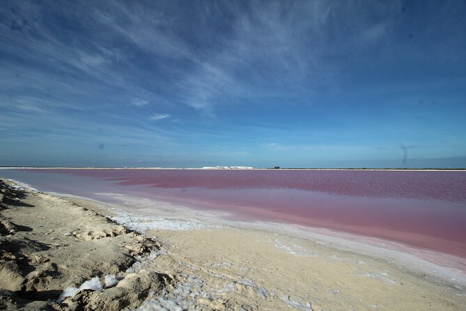 Rio Lagartos+Coloradas Tourist Collective (Lake Rosa)+Cenote - Weather, sun, and animal luck: set expectations the right way