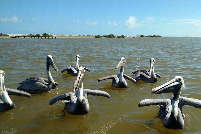 Rio Lagartos guided boat tour- Ek Balam from Valladolid - Ek Balam: a guided 2-hour look at an 85 percent intact facade