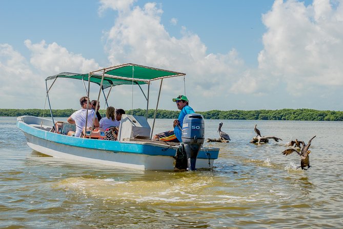 Rio Lagartos guided boat tour- Ek Balam from Valladolid - Guides and service: why the experience feels personal