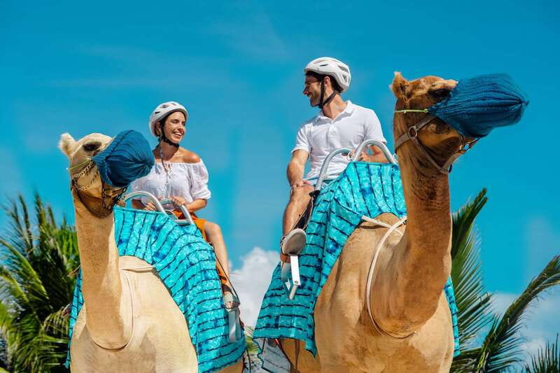 Riviera Maya: Camel Caravan Expedition and Beach Club Access - Jungle sights, dunes, and sea air from the saddle