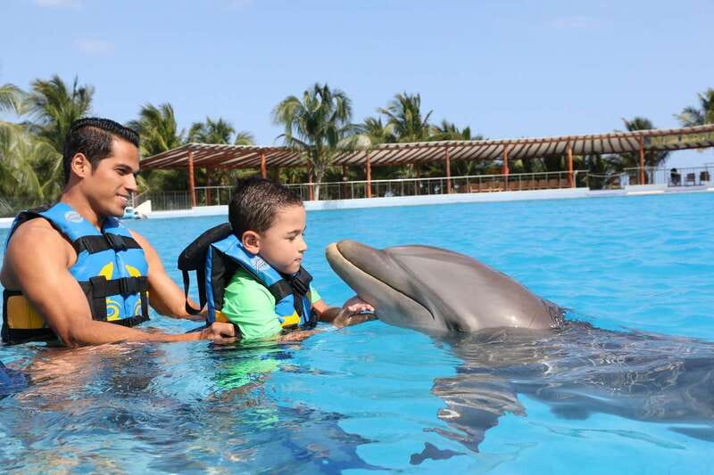Riviera Maya: Dolphin Encounter with Beach Club Access - Key highlights to know before you go