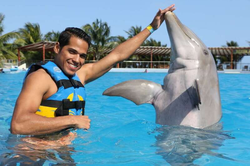 Riviera Maya: Dolphin Encounter with Beach Club Access - How the day is paced, briefing first, dolphins second, beach after