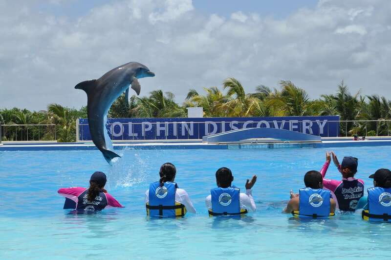 Riviera Maya: Dolphin Encounter with Beach Club Access - The rules that shape your photos, timing, and stress level