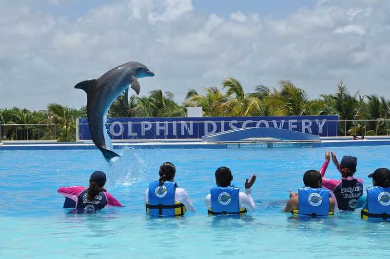 Riviera Maya: Dolphin Encounter with Beach Club Access - Maroma Beach Club access, what you do with the rest of your day