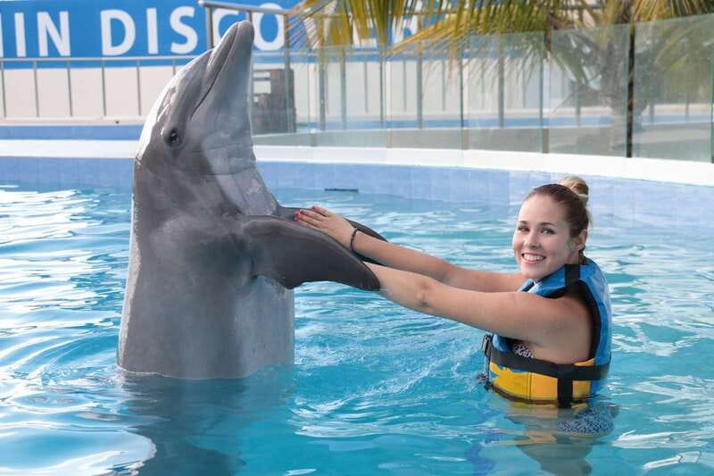 Riviera Maya: Dolphin Encounter with Beach Club Access - Should you book this dolphin encounter plus Maroma Beach Club access?