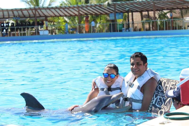 Riviera Maya: Dolphin Encounter with Beach Club Access - Inside the Dolphin Discovery Maroma dolphin encounter