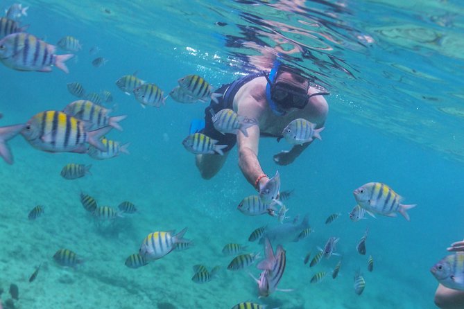 Riviera Maya Luxury Snorkeling Cruise with Lunch and Drinks - Paddleboarding and Water Mats: Included, Fun, and Usually Easy