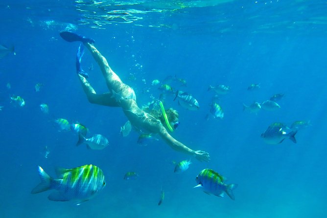 Riviera Maya Luxury Snorkeling Cruise with Lunch and Drinks - Weather and Water Conditions: Why the Day Can Change Fast