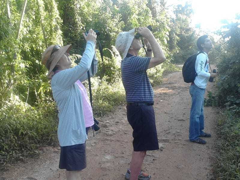 Riviera Maya: Puerto Morelos 4-Hour Bird Watching Tour - Breakfast and break time: useful recovery without turning it into a long lunch