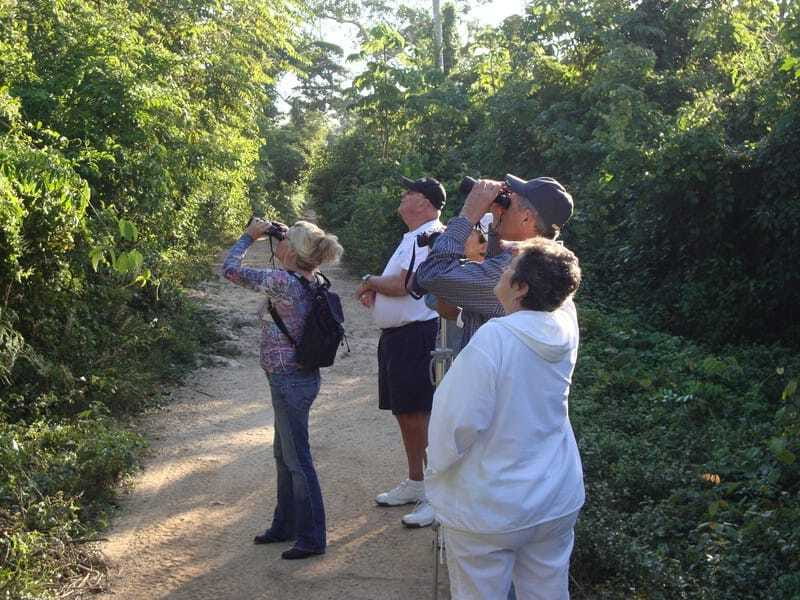 Riviera Maya: Puerto Morelos 4-Hour Bird Watching Tour - Sustainable tourism that includes Mayan culture protection