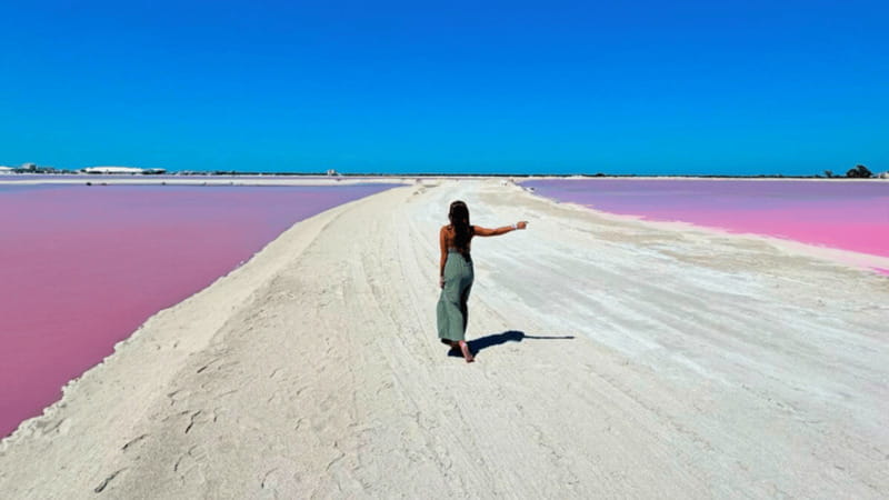 Riviera Maya: Rio Lagartos & Las Coloradas Day Trip w/Lunch - Why Rio Lagartos and Las Coloradas feel like two trips in one