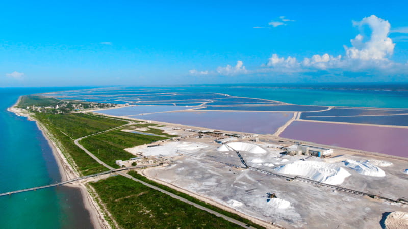 Riviera Maya: Rio Lagartos & Las Coloradas Day Trip w/Lunch - Las Coloradas pink lakes, the bridge stop, and why the color changes