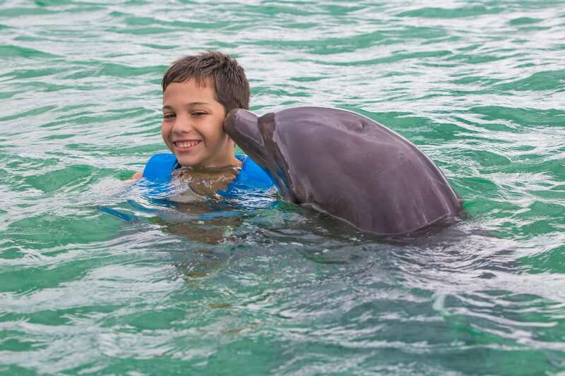 Riviera Maya: Swimming Experience with Dolphins - Should you book this dolphin swim-interaction in Riviera Maya?