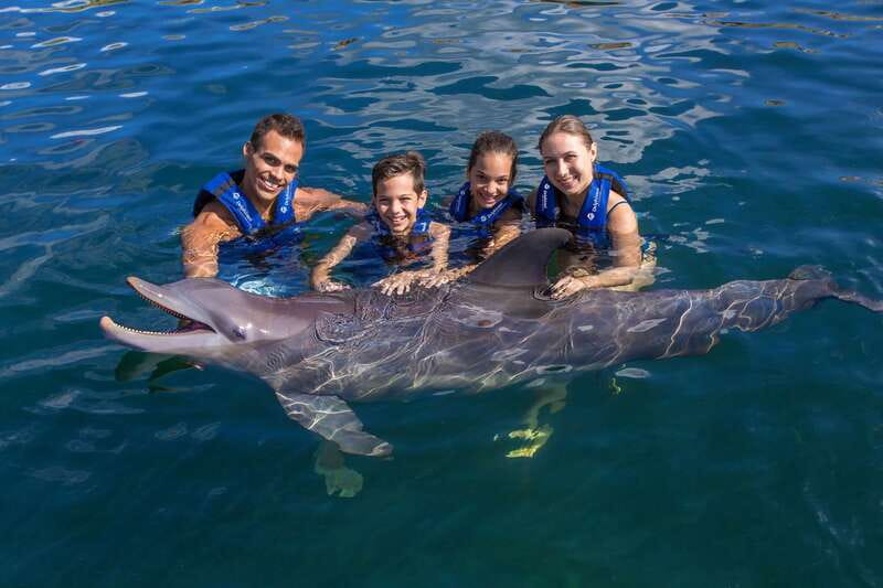 Riviera Maya: Swimming Experience with Dolphins - Delphinus Dolphins in Riviera Maya, what the 45 minutes really feels like