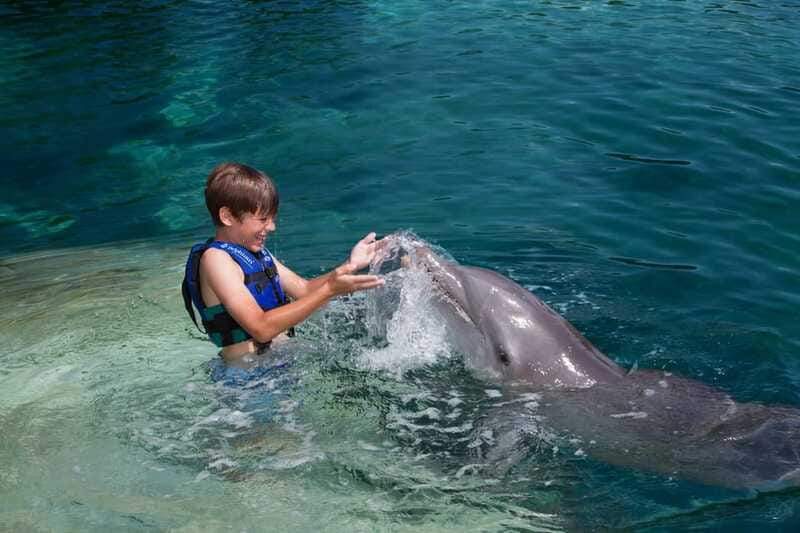 Riviera Maya: Swimming Experience with Dolphins - Safety rules and the no-camera reality (plan your souvenirs early)