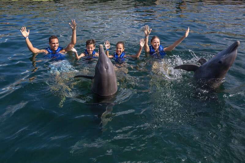 Riviera Maya: Swimming Experience with Dolphins - Price and value at $127, plus the $50 MXN aquatic-animal tax