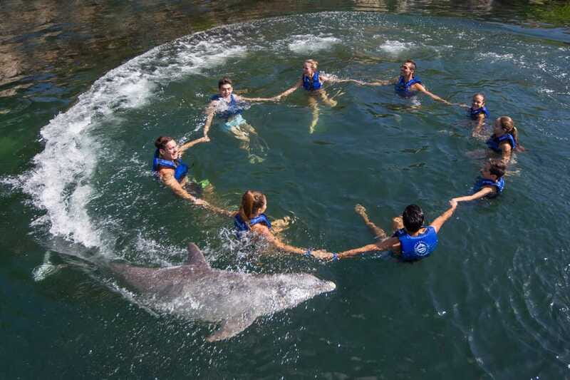 Riviera Maya: Swimming Experience with Dolphins - The meeting point by Xcaret Park, and how to plan your timing