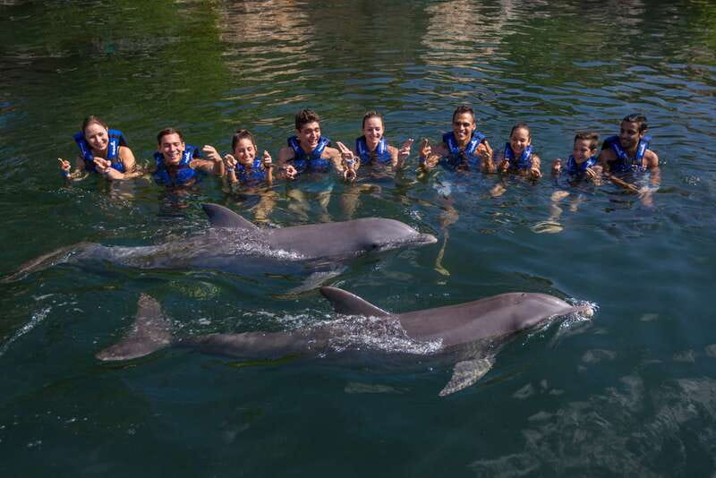 Riviera Maya: Swimming Experience with Dolphins - Who should book this dolphin interaction, and who should rethink it
