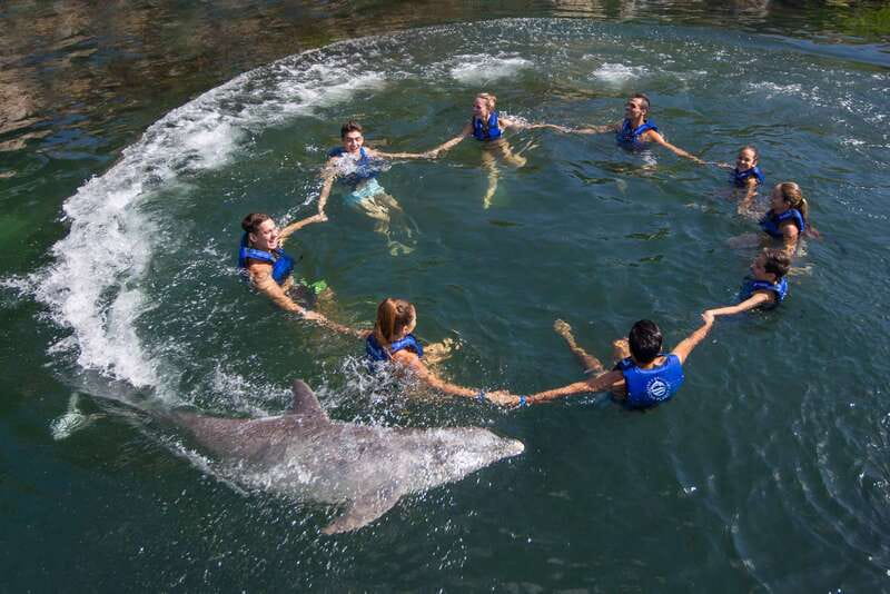 Riviera Maya: Swimming Experience with Dolphins - Inside the 20 minutes in the water, the activities you will do