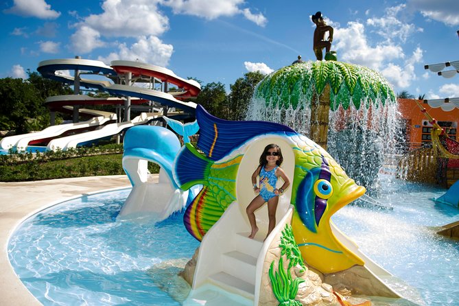 Roots Beach Club® - Non-motorized water fun and spotting marine life the right way