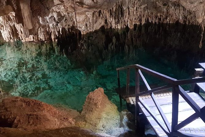 Route of the cenotes (ZAPOTE) - The Adventure Side: Zip Lines and Jump Options (Without Losing the Plot)