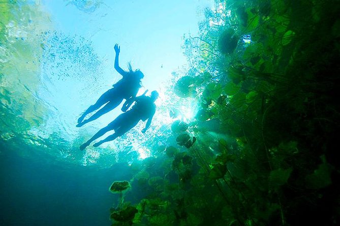 Sacred Adventure at Xenotes! 4 Different Cenotes + Round Transportation - Four cenote types on the Ruta de los Cenotes