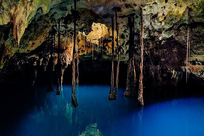 Sacred Adventure at Xenotes! 4 Different Cenotes + Round Transportation - Stop-by-stop: what the early Puerto Morelos start sets up