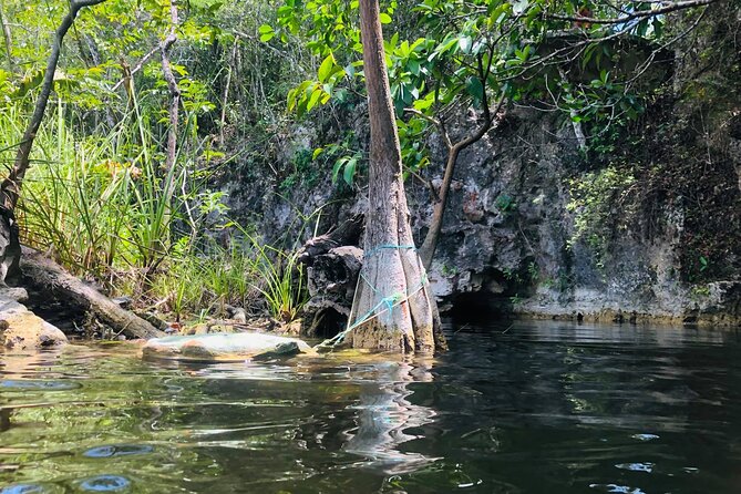 Sacred Adventure at Xenotes! 4 Different Cenotes + Round Transportation - Packing list: what to bring for cenotes and active gear