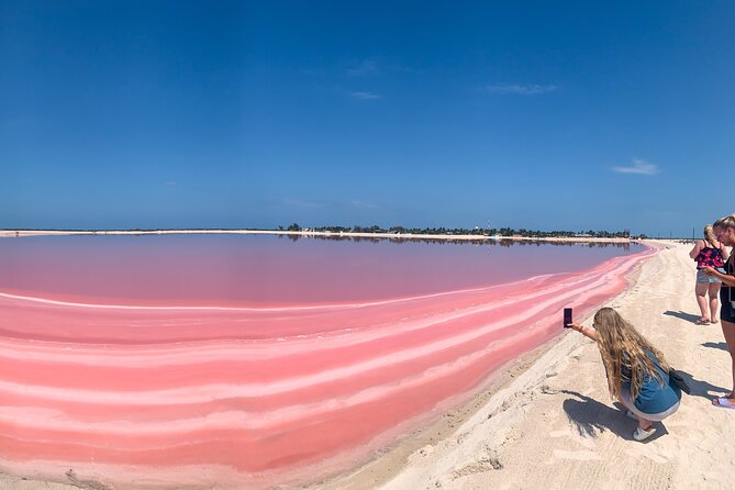 Safari in Rio Lagartos, Coloradas and Mayan Bath - Key Highlights You’ll Care About