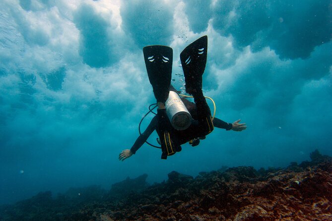Scuba Diving (1st time) in Cancun Beginner's WELCOMED! - First-Time Underwater Freedom, Done the Easy Way