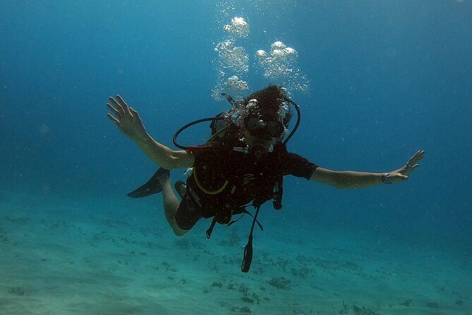 Scuba Diving (1st time) in Cancun Beginner's WELCOMED! - No License, But You Still Need to Meet the Requirements