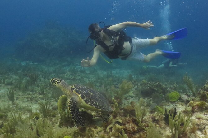 Scuba Diving (1st time) in Cancun Beginner's WELCOMED! - How the Training Usually Works Before You Go Under