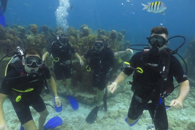 Scuba Diving (1st time) in Cancun Beginner's WELCOMED! - Stop 1: Museo Subacuatico de Arte (MUSA) and the Statue Maze