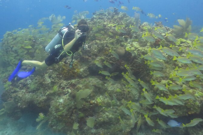 Scuba Diving (1st time) in Cancun Beginner's WELCOMED! - Safety, Comfort, and Why the Instructor Makes or Breaks It