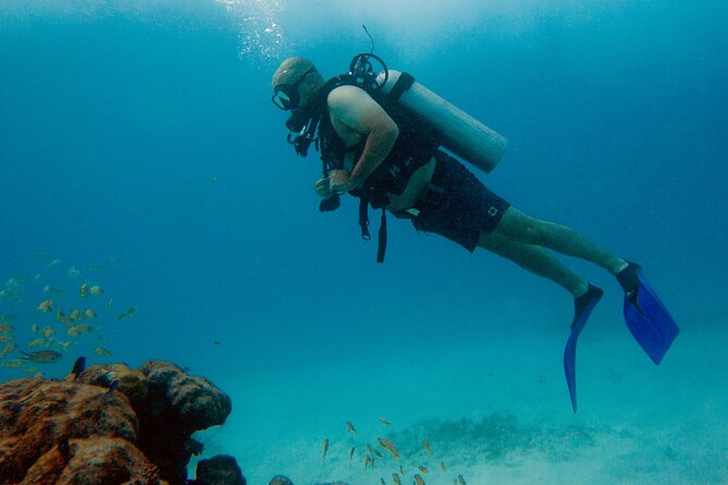 Scuba Diving (1st time) in Cancun Beginner's WELCOMED! - Meeting Point, Timing, and What “5.5 Hours” Feels Like