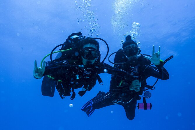 Scuba Diving for Beginners – Tulum Dive Machine - Price and Value: What You Are Really Paying For
