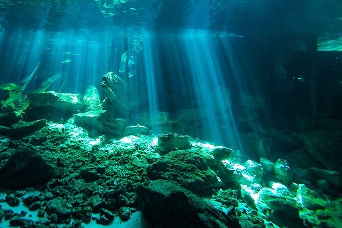Scuba Diving in Cenote Dos Ojos from Playa del Carmen - Gear setup, tank pressure, and the safety briefing that makes you feel in control