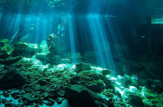 Scuba Diving in Cenote Dos Ojos from Playa del Carmen - Who should book this Cenote Dos Ojos day, and who should skip it