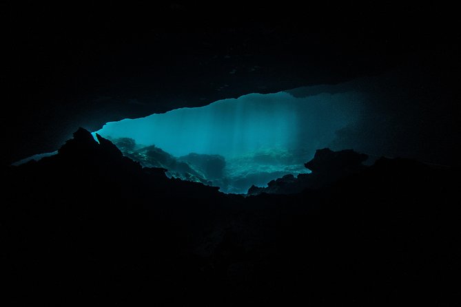 Scuba Diving in Cenotes - Guides, safety culture, and what the small group really changes